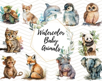 Baby Animals Watercolor Clipart - Cute Animal Clip Art - PNG for Commercial Use