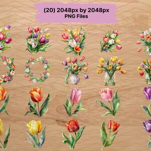 Clipart Tulip Floral PNG Watercolor Clip Art Bundle Flower Bouquet ...