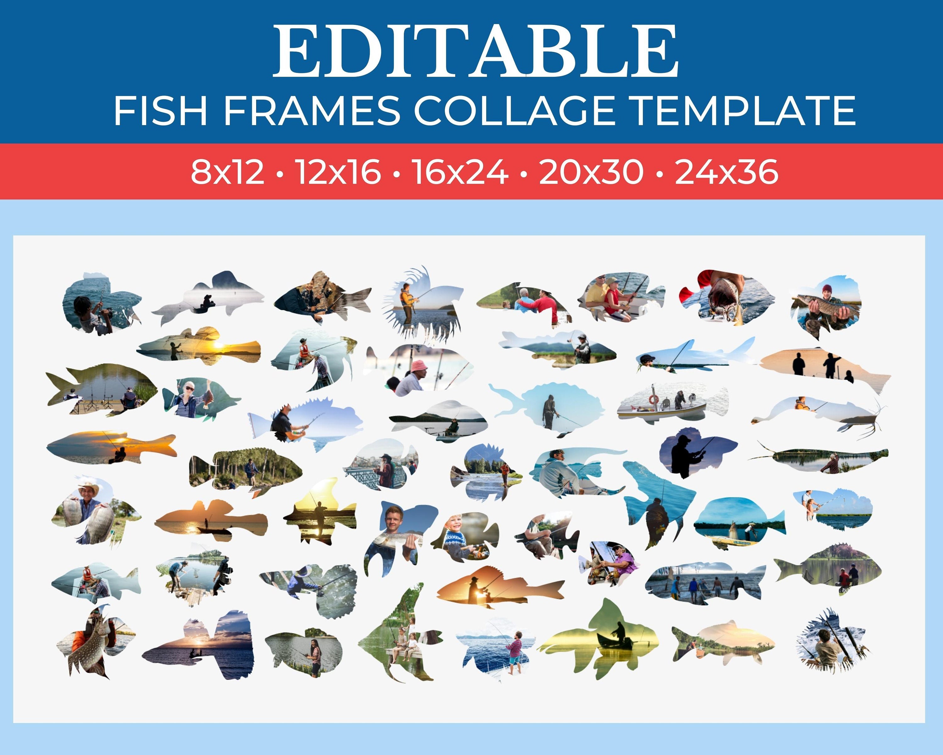 Picture Collage Fish Frames Template | Gridart Canva | Image Collage ...