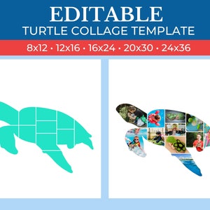 Könnte beinhalten: Eine türkisfarbene Schildkrötensilhouette, die in Quadrate unterteilt ist, eine Vorlage für eine Fotocollage. Das Beispiel zeigt eine Collage von Fotos von Kindern, die Spaß im Wasser haben.