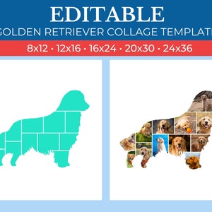 Dog Picture Collage Golden Retriever Template | GridArt Canva | Image Collage | Pic Stitch | Golden Retriever Collage Template