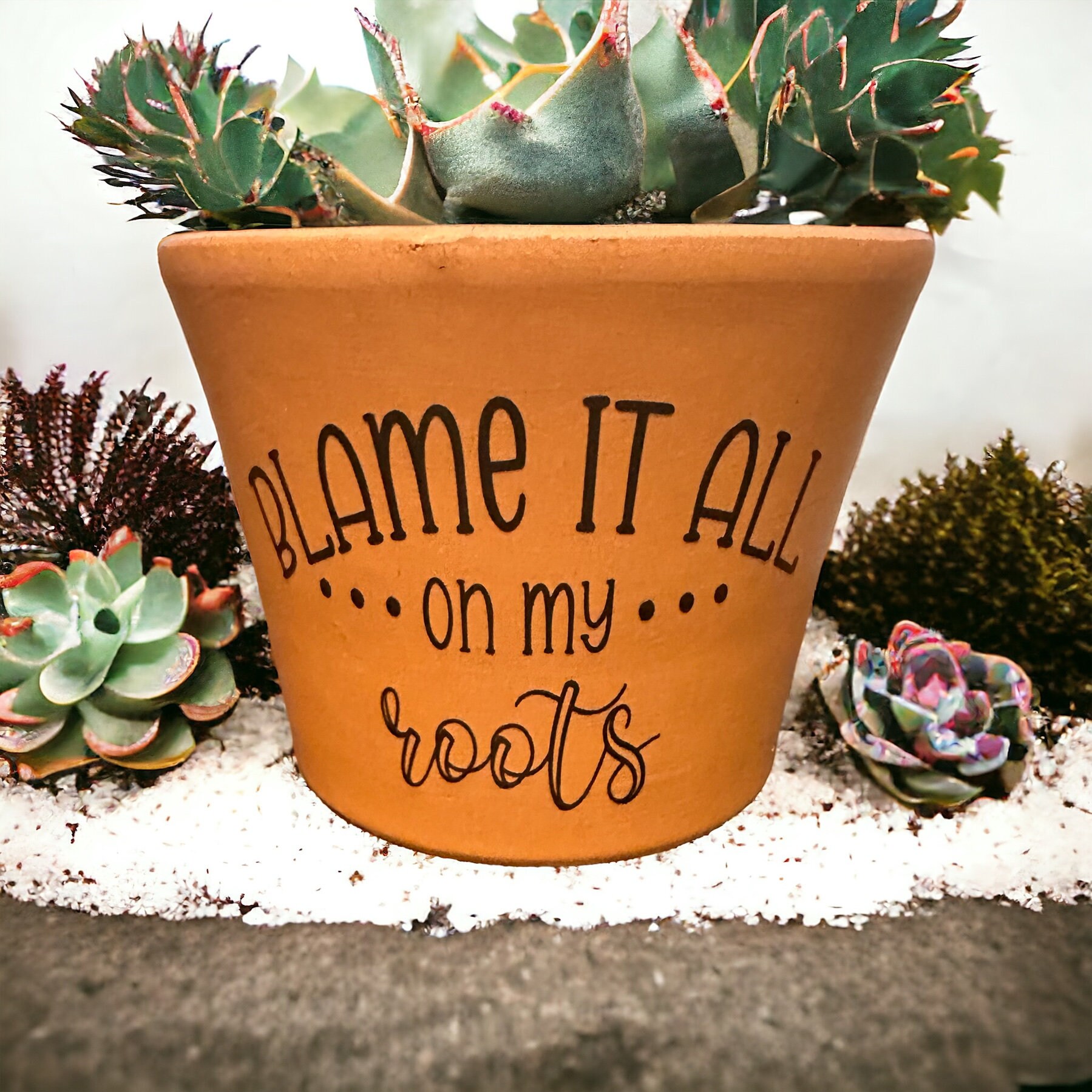 Funny Planter With Plant Puns - Cute Succulent Pot, Perfect Plant Lover ...