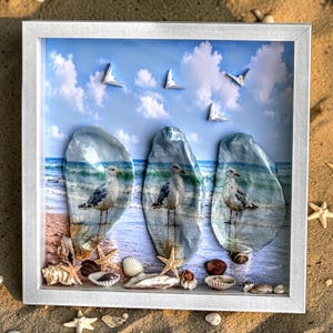 Seagull Oyster Shell Shadow Box, Coastal Beach Wall Decor or Shelf Sitter,  Decoupage Oyster Shell Art, Nautical Home Accent