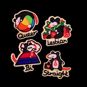 RAINBOW PRIDE PINS I Wooden Pin I Wooden Badge I Opossum 3 inch and 2 inch Wooden Pins, wear with pride!