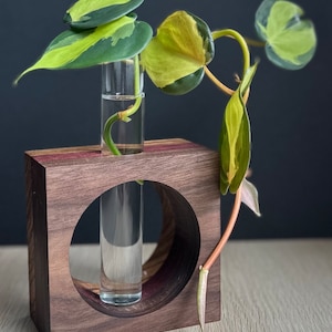 May include: A small potted plant with variegated leaves in a glass test tube, placed in a wooden square planter with a circular opening.
