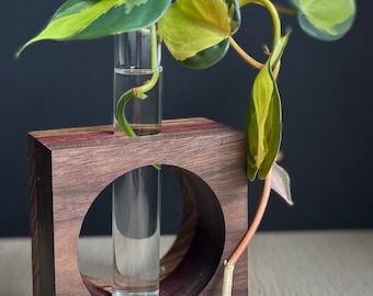 Stazione Di Propagazione 2 Pz Lampadina Vaso Di Avocado E Ghianda Di