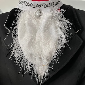 May include: White feather-trimmed collar with a black and white trim and a silver rhinestone brooch.