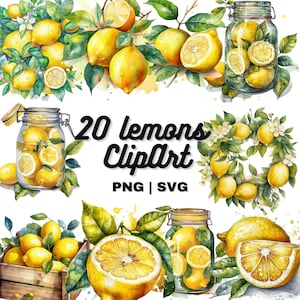 Lemon Watercolor Clipart, Hand Painted Lemon Art, Digital Fruit Illustrations, Citrus Clip Art, SVG,PNG