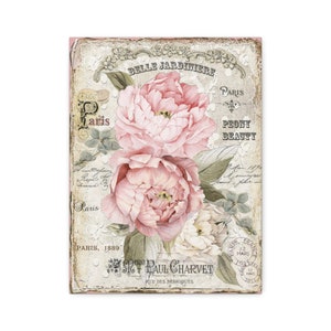 Op de afbeelding: Een vintage-print met roze pioenen met groene bladeren en een vervaagde achtergrond met tekst die "Belle Jardiniere", "Paris", "Peony Beauty", "Paris, 1889", "St. Paul Charvet" en "Rue des Fabriques" zegt.