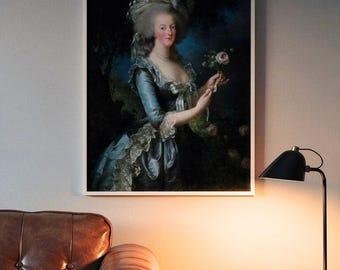 マリー・アントワネットのイラスト：ロココ肖像画、フランス王室の