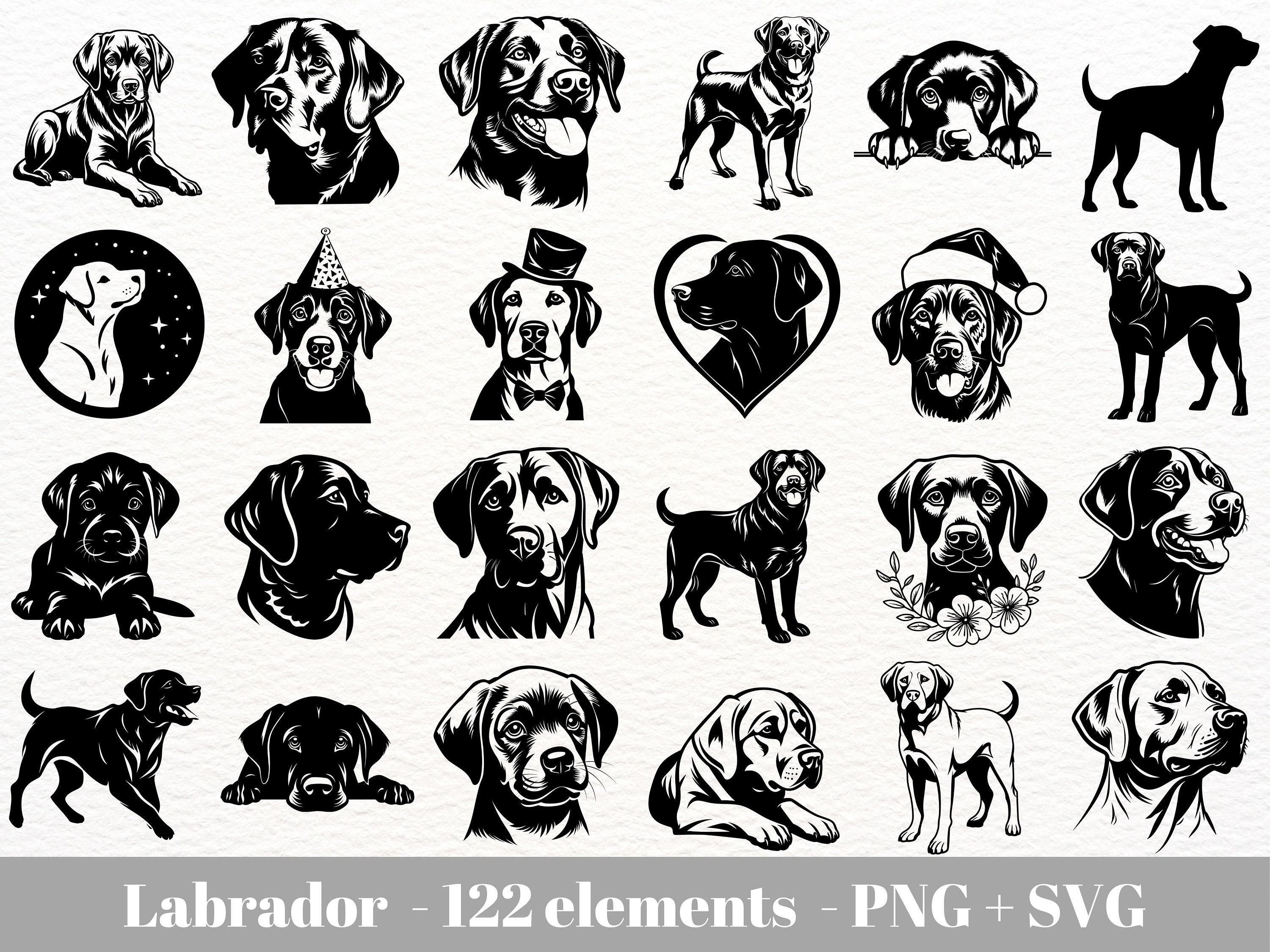 Labrador Retriever Svg / Peeking Labrador / Labrador svg cut file / Dog peeking svg / Instant Download / Commercial use /SVG file for Cricut