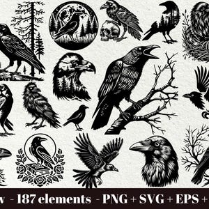 May include: A collection of black and white crow illustrations in various poses and settings. The images include crows perched on branches, flying, and in silhouette, with additional elements like trees, a skull, and a full moon. The text "Crow - 187 elements" is at the bottom.