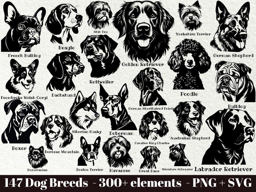 147 Dog Breeds Laser Files / Dogs Head Svg Bundle / Dog Portrait SVG ...
