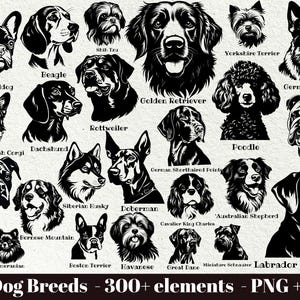 May include: A collection of black and white illustrations of various dog breeds, such as the French Bulldog, Beagle, and Golden Retriever. The image includes the text "147 Dog Breeds - 300+ elements - PNG + SVG".