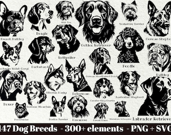 May include: Black and white illustrations of 147 dog breeds, including French Bulldog, Beagle, Golden Retriever, and Labrador Retriever. The image also includes the text "147 Dog Breeds - 300+ elements - PNG + SVG".