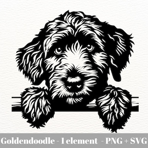 Peeking golden doodle svg / goldendoodle svg / golden doodle png/PEEKING DOG SVG / Goldendoodle Head Svg / Instant Download / Commercial use