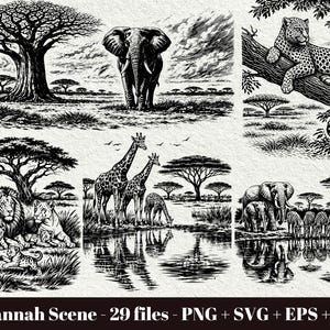Puede incluir: Una colección de ilustraciones en blanco y negro que representan escenas de la sabana africana, incluyendo un elefante, un leopardo en una rama, leones, jirafas y cebras. El texto inferior dice Savannah Scene - 29 files - PNG + SVG + EPS + DXF.