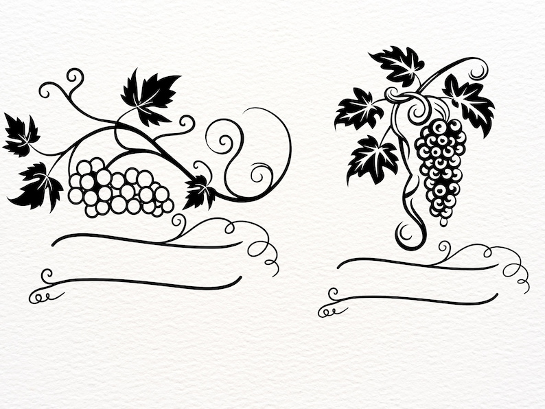 Grapevine Designs / Grapevine SVG for Commercial Use / Grapes and Vine