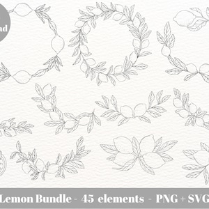 Lemon Outline / Lemon SVG / Lemon Svg Cricut / Lemon Branch / Lemon Wreath SVG / Lemon PNG / Lemon Clipart / Lemon Arrangement