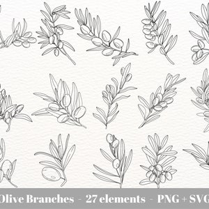 Rama de olivo svg para láseres / Oliva svg / Hoja de olivo svg / Corona de olivo / Aceitunas dibujadas a mano / Clipart de uso comercial / Descarga instantánea svg