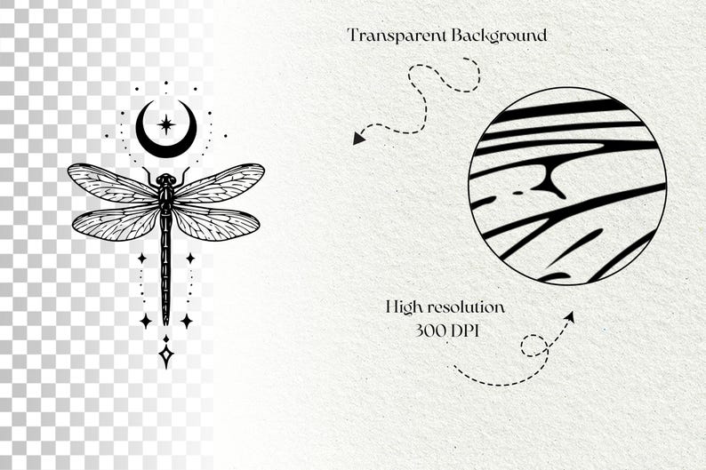Puede incluir: Una ilustraci&oacute;n digital en blanco y negro de una lib&eacute;lula situada bajo una luna creciente y estrellas. A la derecha, una vista circular detallada muestra la compleja textura de las alas. El texto dice Transparent Background y High resolution 300 DPI.