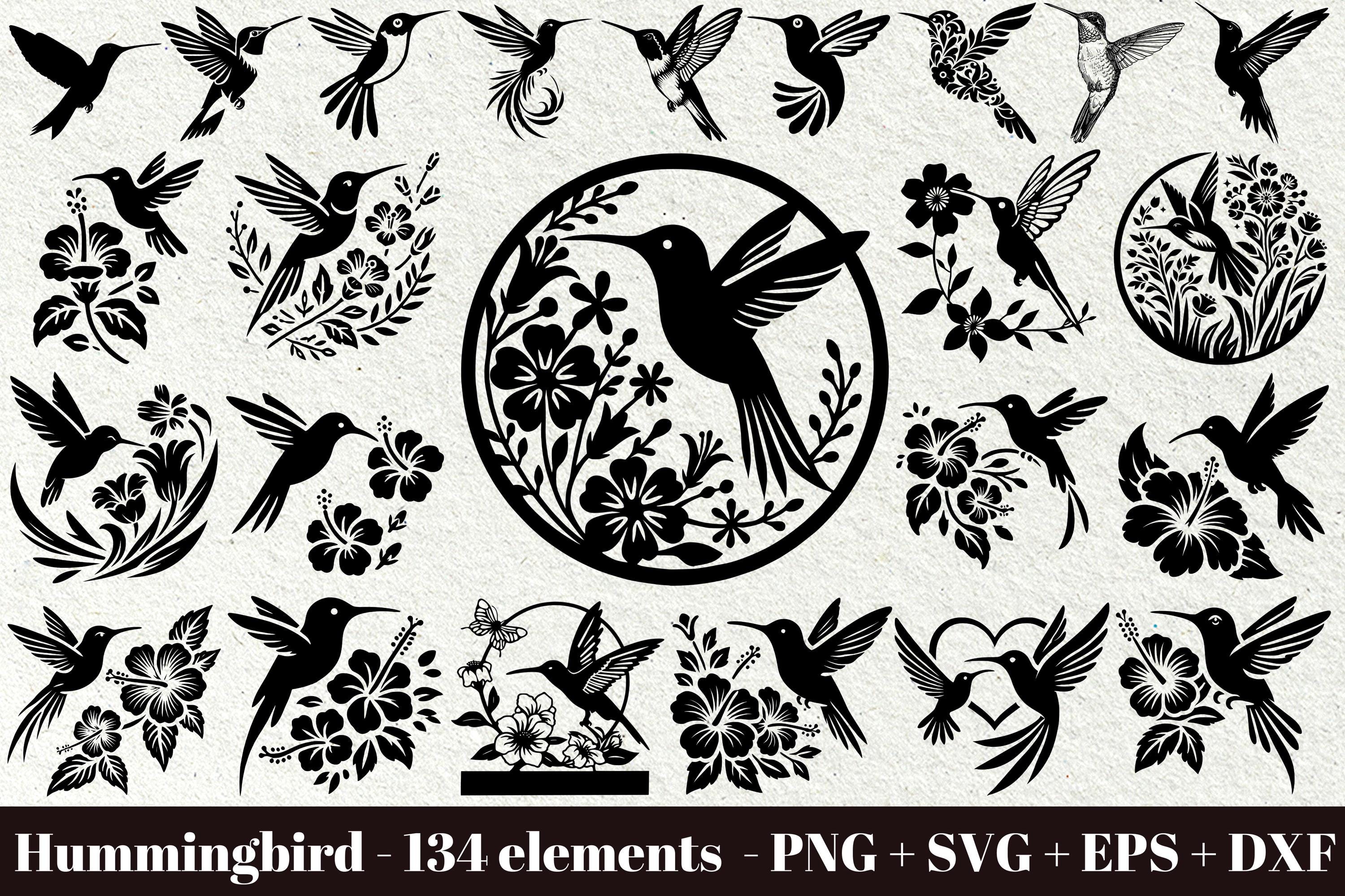 Hummingbird Svg - Etsy