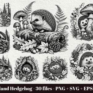 Op de afbeelding: Een verzameling zwart-witillustraties met egels in diverse bosrijke omgevingen, waaronder boomstammen, paddenstoelen, varens, dennenappels en kleine hutten. De tekst onderaan luidt Woodland Hedgehog - 30 files - PNG + SVG + EPS + DXF.