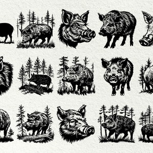 May include: A collection of black and white illustrations of wild boars in various poses, including headshots, full body shots, and boars walking through a forest. The illustrations are done in a vintage style.
