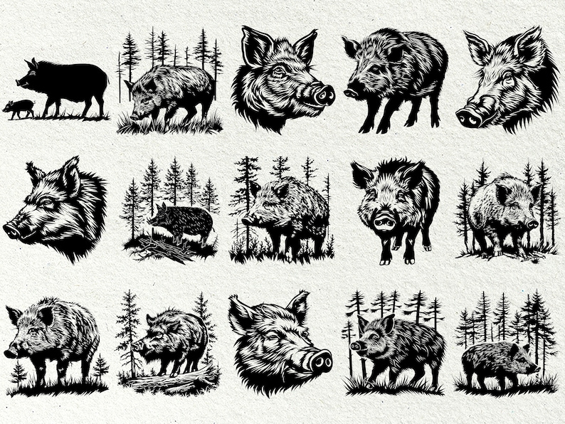 May include: A collection of black and white illustrations of wild boars in various poses, including headshots, full body shots, and boars walking through a forest. The illustrations are done in a vintage style.