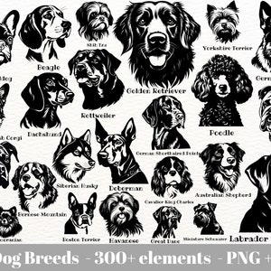 Dog head svg bundle / Dog breed svg bundle / Dog SVG bundle for vinyl / Dog portrait SVG / Instant Download / Commercial use / SVG files
