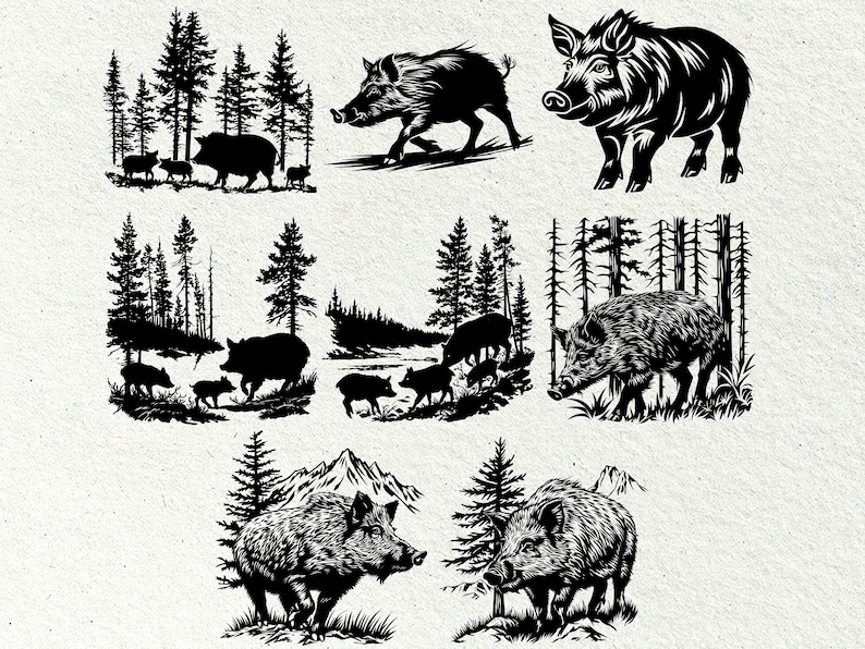 May include: Black and white silhouette illustrations of wild boars in a forest setting. The illustrations feature boars of different sizes and ages, some with their young, walking through a dense forest with tall trees.