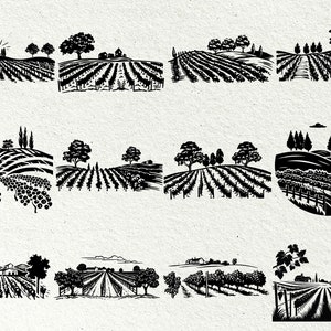 Op de afbeelding: Een verzameling zwart-wit illustraties die wijngaarden met glooiende heuvels, bomen en huizen voorstellen. De illustraties zijn in vintage stijl en zouden perfect zijn voor een wijn-thema designproject.