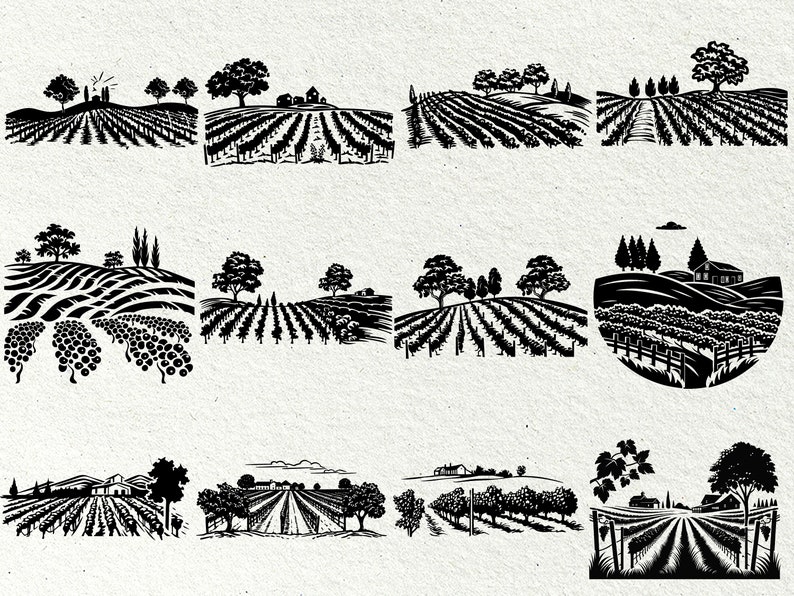 Op de afbeelding: Een verzameling zwart-wit illustraties die wijngaarden met glooiende heuvels, bomen en huizen voorstellen. De illustraties zijn in vintage stijl en zouden perfect zijn voor een wijn-thema designproject.