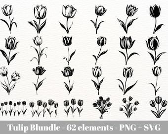 Tulip flower svg / Tulips svg designs / Spring flower clipart  / Tulip clipart  / Tulip Svg / Botanical line art commercial use/ laser file