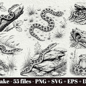 Könnte beinhalten: Eine Sammlung von schwarz-weißen Tuschezeichnungen verschiedener Schlangen in natürlichen Lebensräumen, darunter auf Baumstämmen, auf Felsen und in hohlen Baumstämmen, mit dem Text Snake - 55 files - PNG + SVG + EPS + DXF.