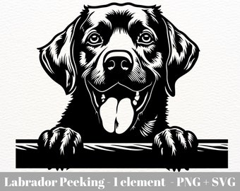 Peeking lab svg / Labrador Peeking / labrador retriever svg / Labrador svg cut file / Dog peeking svg / Instant Download / Commercial use
