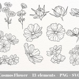 Cosmos Flower SVG | October Birth Month Flower | Autumn Flowers PNG Clipart / Instant Download /   Botanical line art illustration