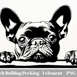 French Bulldog svg / Frenchie svg / Dog silhouette svg digital / French bulldog peeking / Instant Download / Commercial use / Dog breed