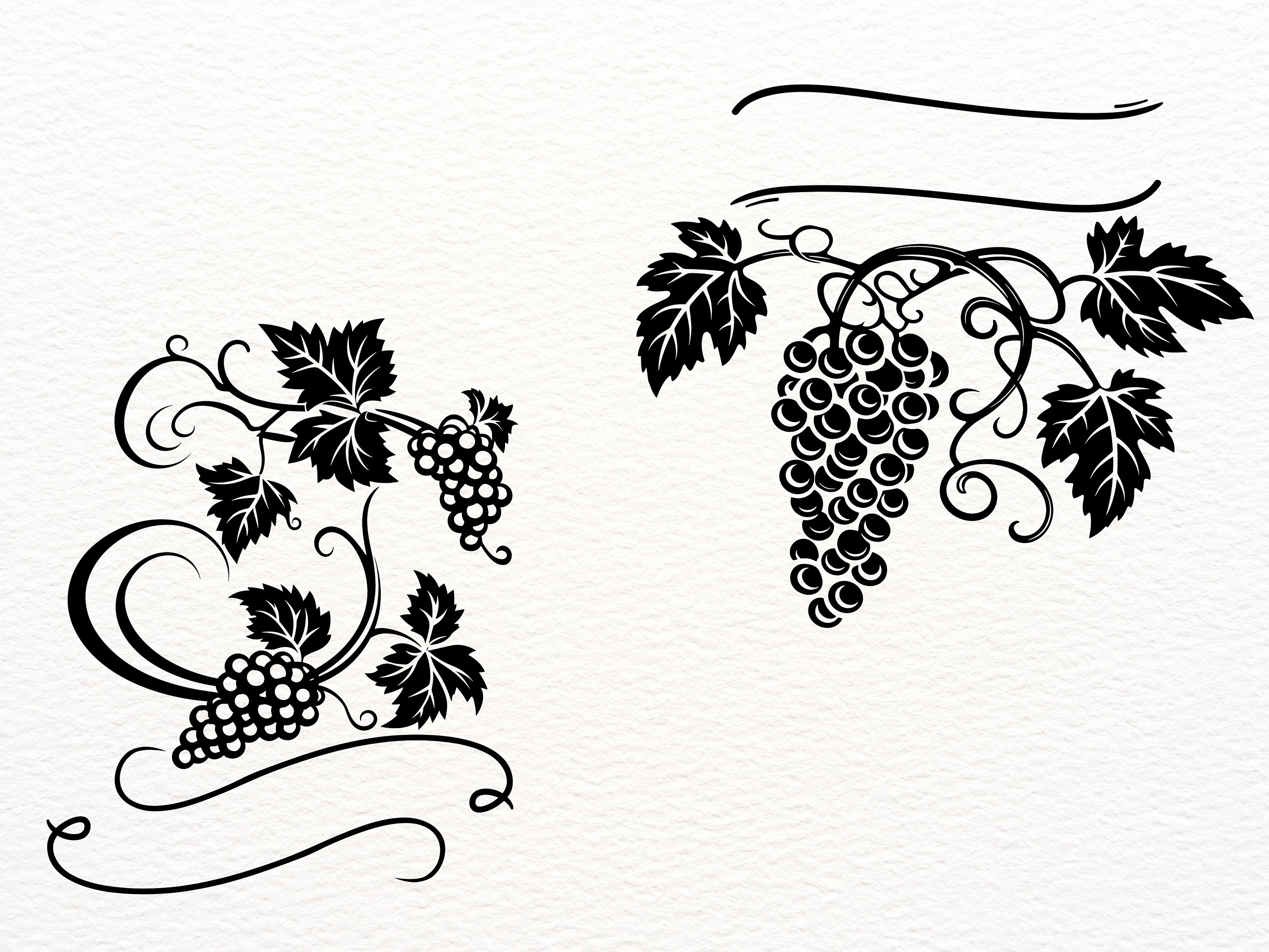 Grapevine Designs / Grapevine SVG for Commercial Use / Grapes and Vine