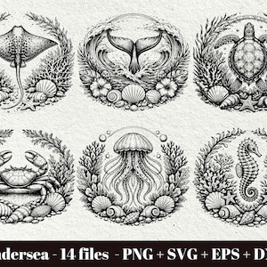 Undervattens-SVG-paket / Ocean lasergraveringsfil / Sea Life Coastal PNG (14 filer) (Digital nedladdning - Kommersiellt bruk)