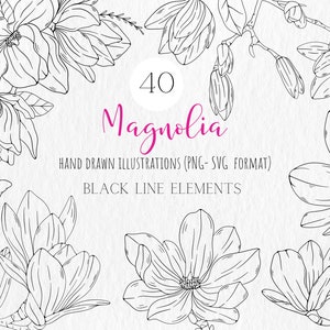 Magnolia SVG / magnolia flower svg / Hand Drawn Flowers for personal and commercial use / magnolia png / Instant download floral print