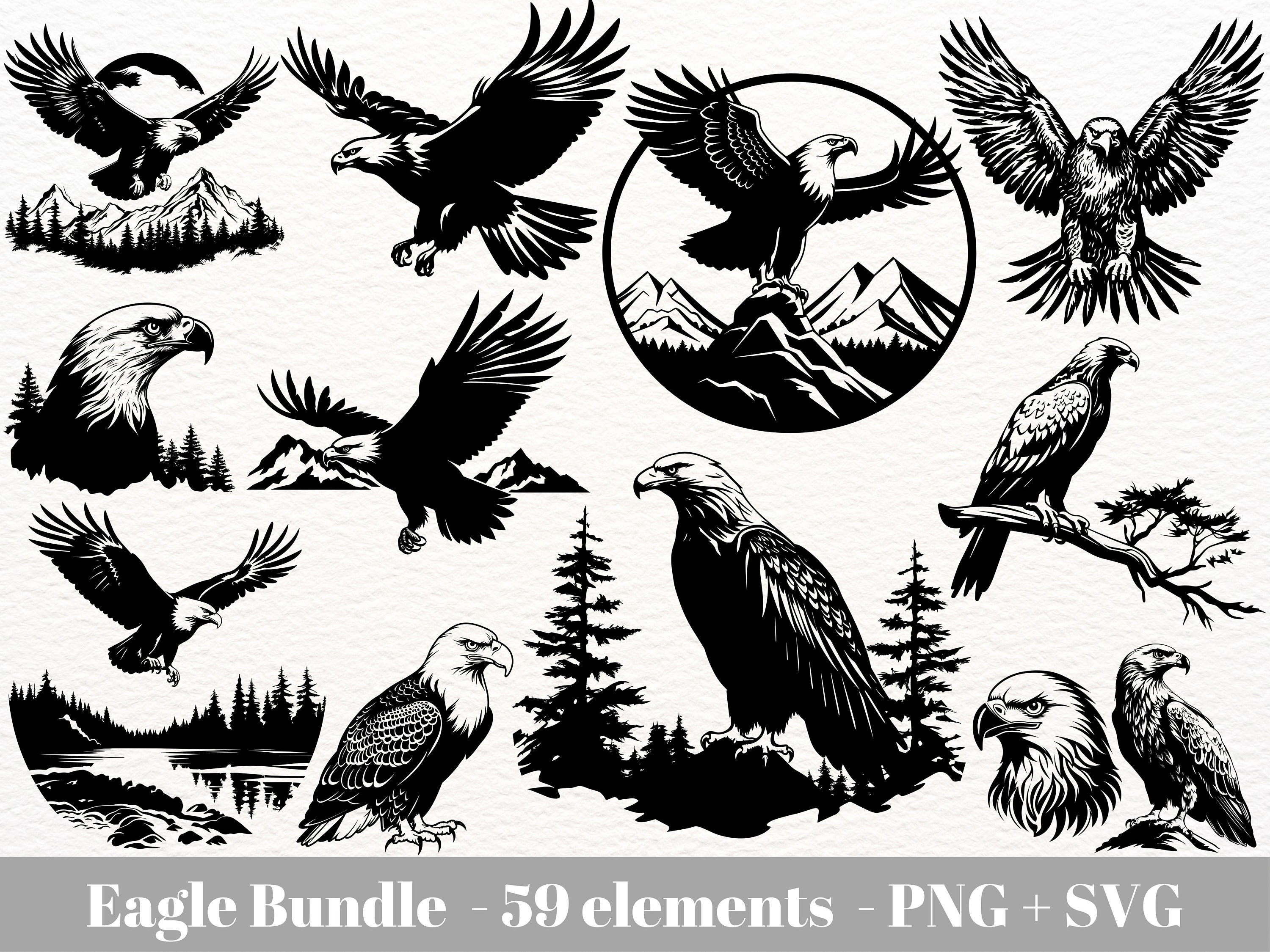 Fabulous Poster Wall Art Cree of the White-headed Eagle Eagle