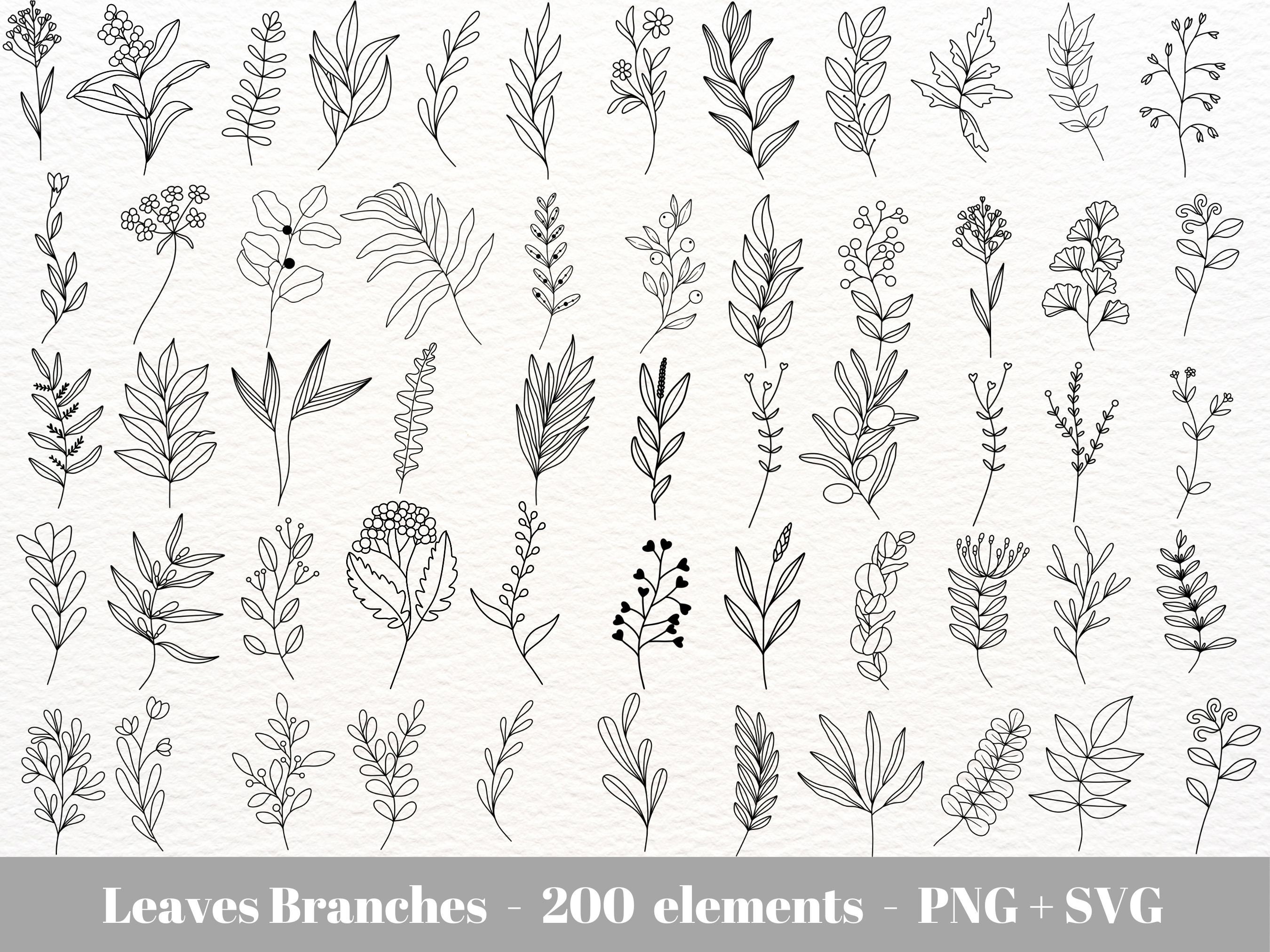 緑の線画 / 手描きの葉の SVG / 葉と枝の SVG / 植物の SVG 要素のクリップアート / 植物の線画の商用利用