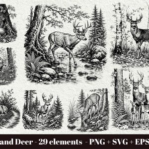 Puede incluir: Una colección de ilustraciones en blanco y negro con ciervos en entornos boscosos, incluyendo machos y hembras en bosques, cerca de arroyos y entre árboles. El texto en la parte inferior dice: Woodland Deer - 29 elements - PNG + SVG + EPS + DXF.