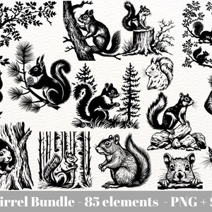Squirrel svg bundle / woodland squirrel svg / woodland animal svg / Forest animals silhouette svg / Instant Download / Commercial use