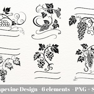 Grapevine designs / Grapevine SVG for commercial use / Grapes and Vine SVG  / Wine SVG Bundle / Grapes Clipart / Instant Download / Cut File