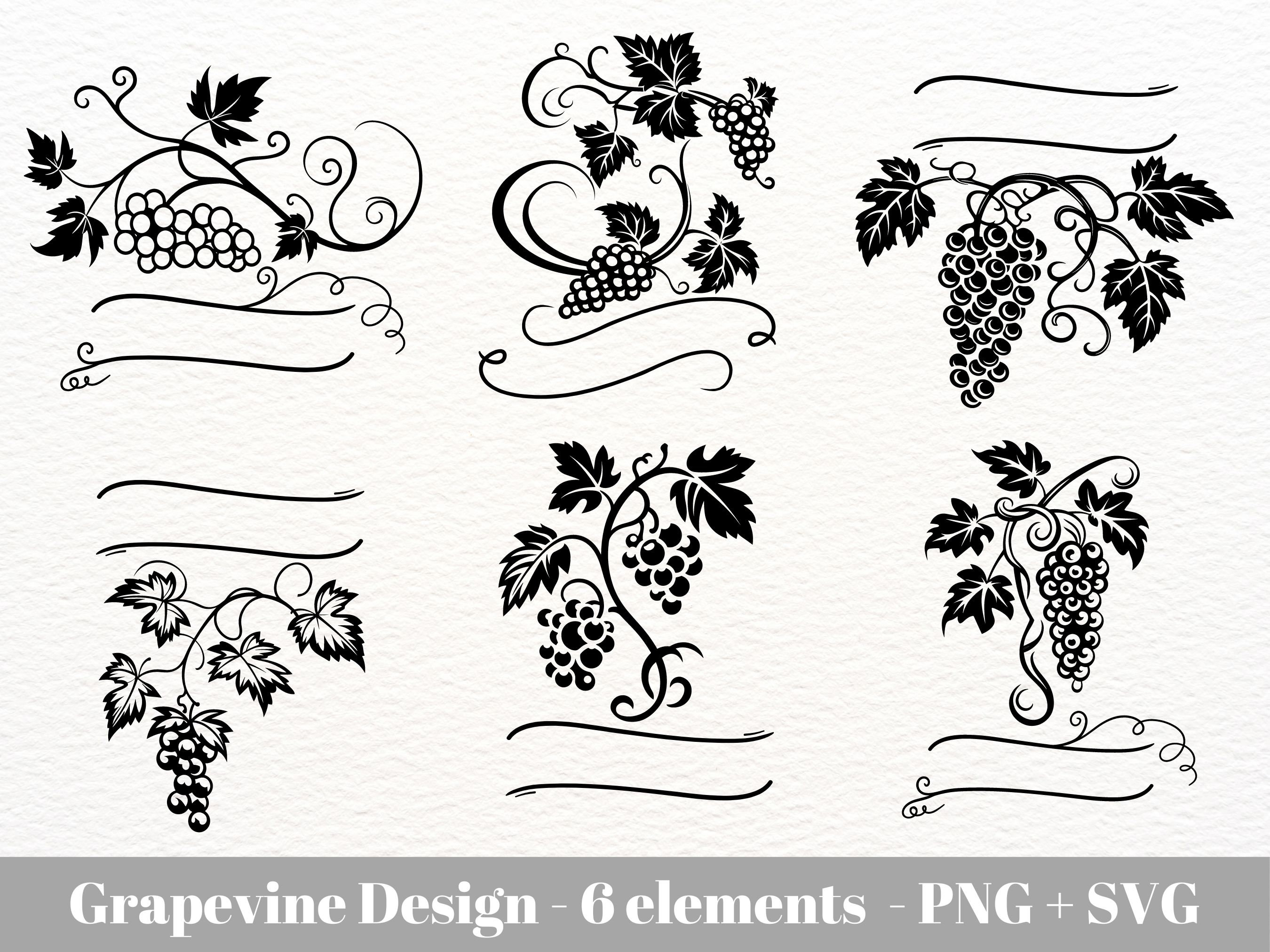 Grapevine Designs / Grapevine SVG for Commercial Use / Grapes and Vine