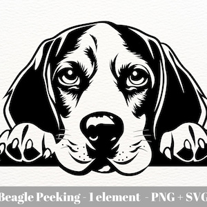 Beagle Peeking svg / Beagle Cricut / Beagle Dog Svg / Dog peeking svg / Beagle Head Svg / Instant Download / Commercial use clipart