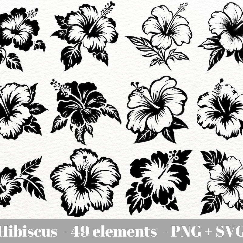 Hibiscus Flower Svg - Etsy