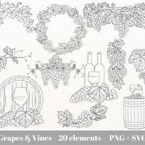 Grapevine SVG for commercial use / Grapes and Vine SVG  / Wine SVG Bundle / Vineyard vines Svg / Grapes Clipart / Wine tasting svg